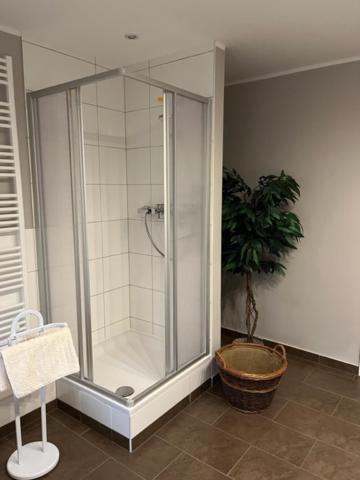 Ferienwohnung Im Harz Wohlfuehltempel Winzenburg Exteriör bild